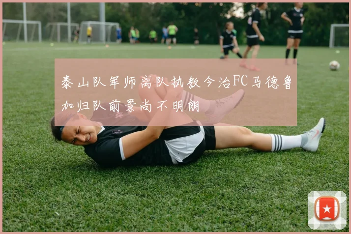 泰山队军师离队执教今治FC马德鲁加归队前景尚不明朗